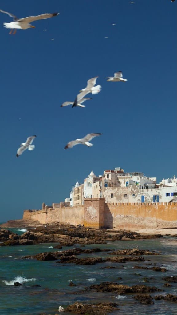 7 Days Tour – Grand Morocco Imperial & North Explorer gallery photo 6