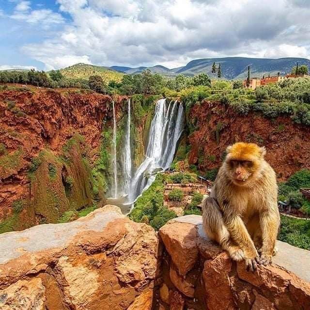 Ouzoud Waterfalls Day Trip