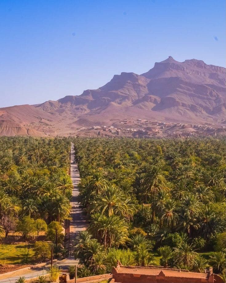 6 Days | Sahara Desert Experience gallery photo 6