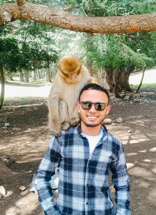 Mr Hamza — professional tour driver