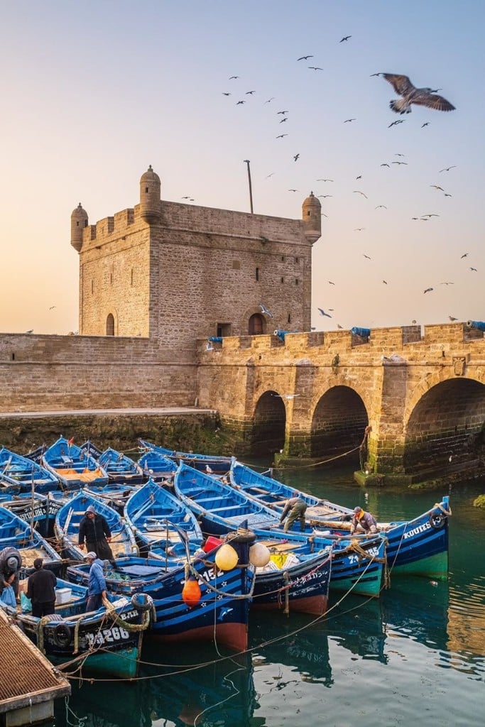 Essaouira Day Trip